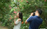 [ẢNH] Lạc lối giữa những con đường lãng mạn như phim trường